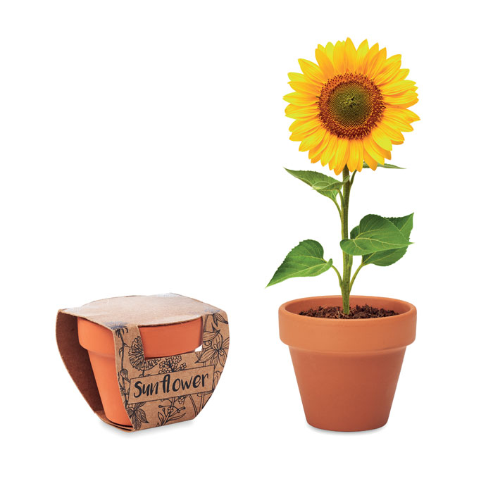 Terracotta plant pot SUNFLOWER with sunflower seeds and your logo