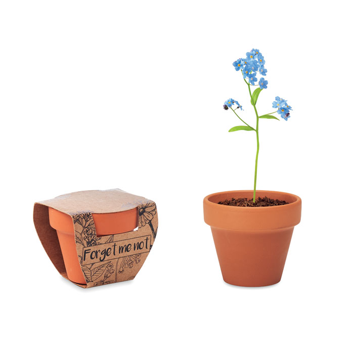 Terakotas podiņš FORGET ME NOT ar neaizmirstulīšu sēklām ar jūsu logo