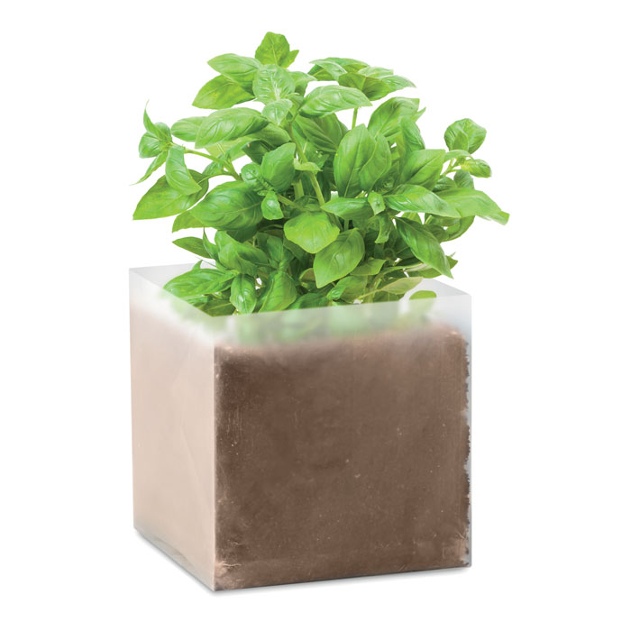 Bazilika sēklu maisiņš ar kompostu BASIL ar jūsu logo
