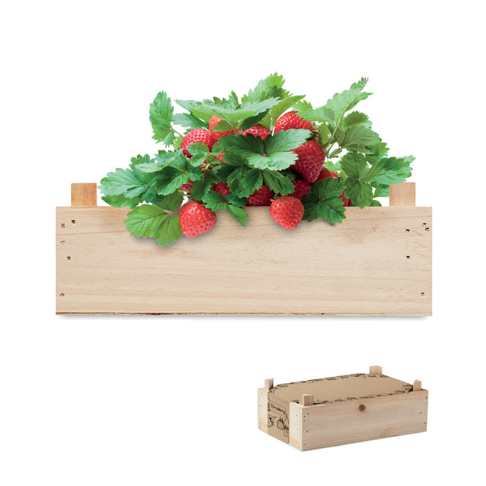 STRAWBERRY strawberry growing kit in a wooden crate with your logo