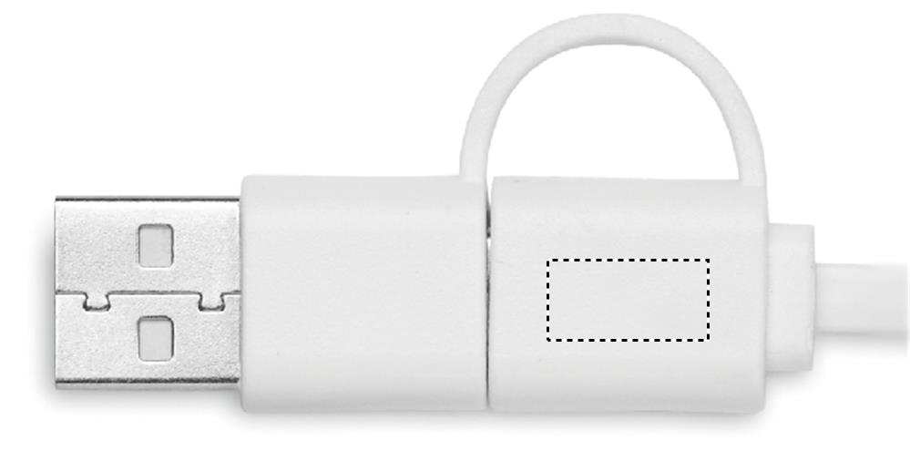 Print position PLUG