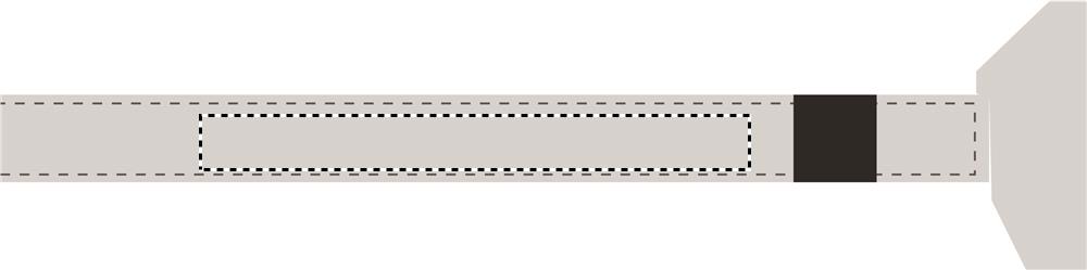 Apdrukas vieta STRAP