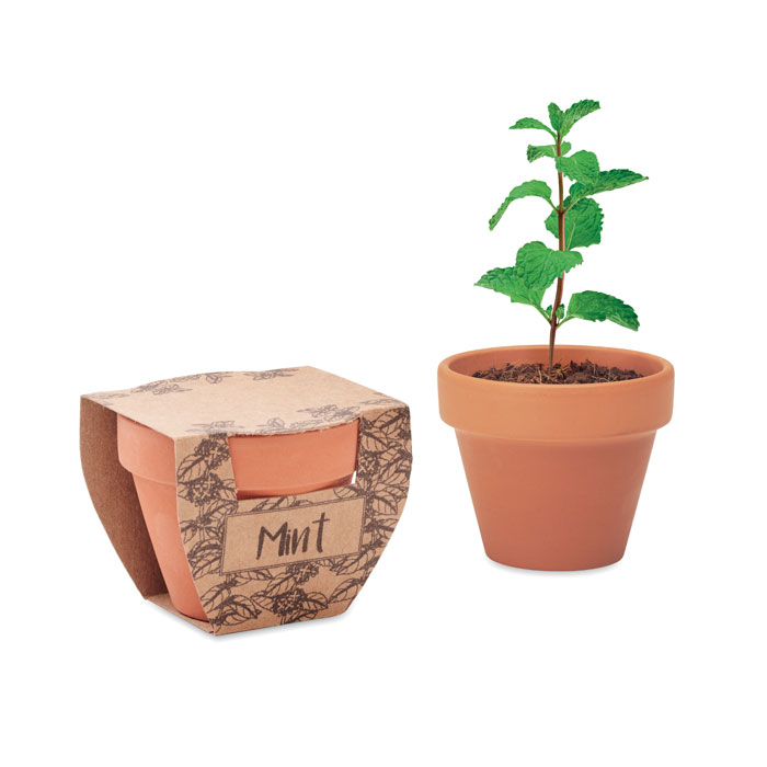 Terakotas podiņš MINT POT ar piparmētru sēklām ar jūsu logo