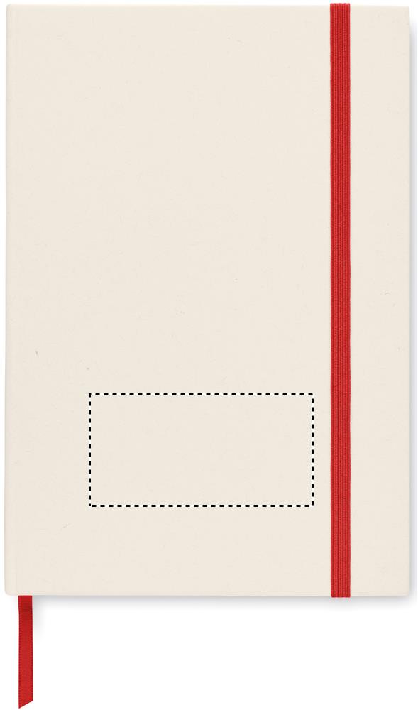 Print position FRONT PAD
