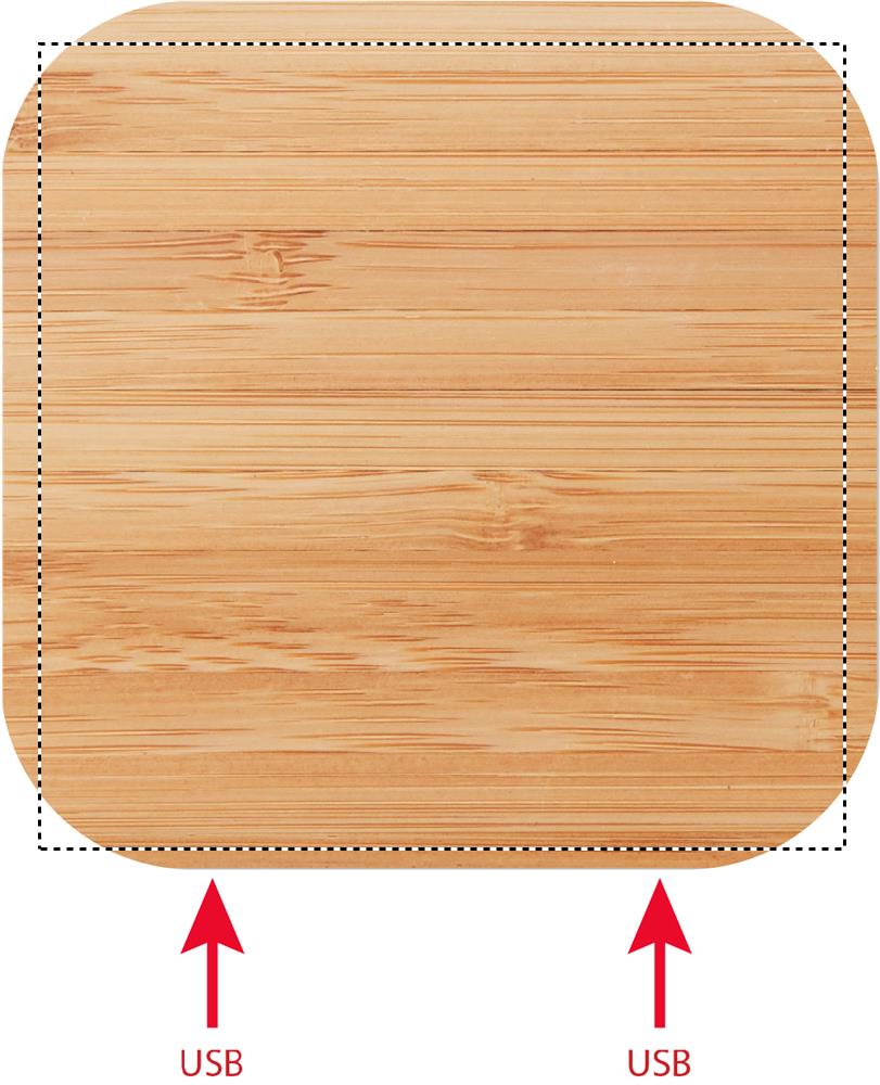 Apdrukas vieta CHARGER