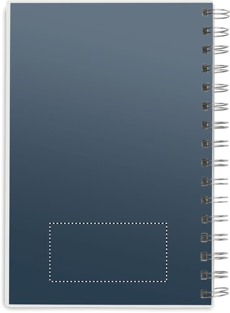 Print position TRANSPARENT BACK P