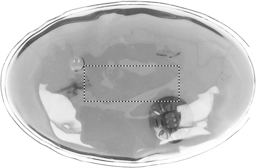 Print position BACK