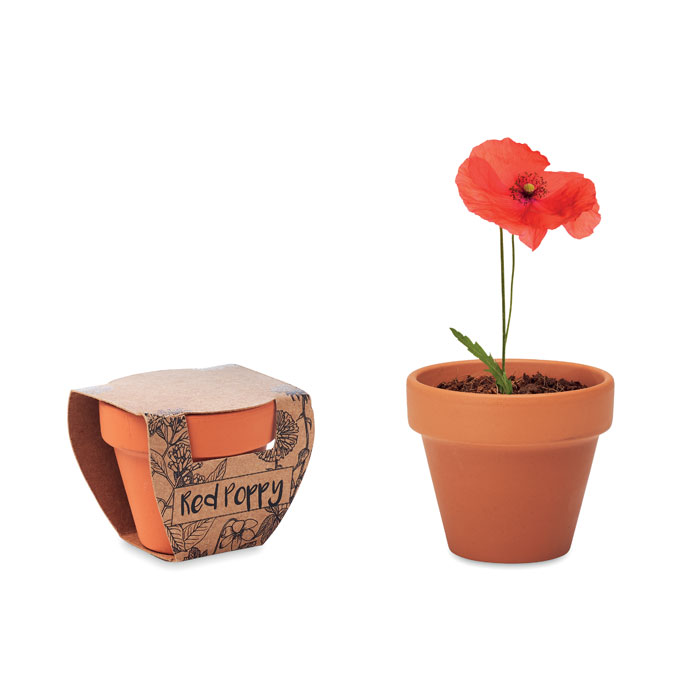 Terracotta pot RED POPPY with poppy seeds, soil tablet and your logo
