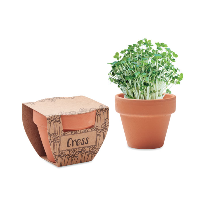 Terakotas pustatic CRESS POT ar dārzkrešu sēklām ar jūsu logo