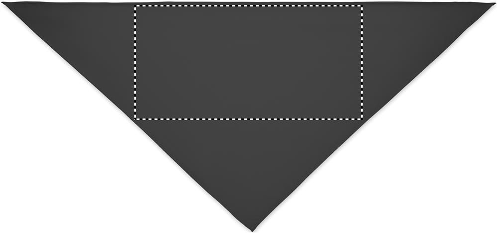 Apdrukas vieta SIDE 1 NECK