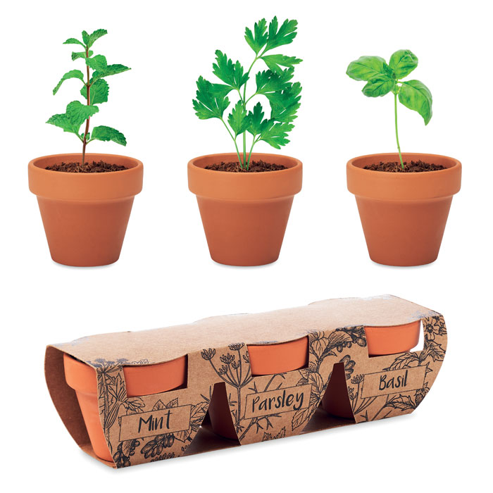 Terakotas garšaugu podiņu komplekts FLOWERPOT ar jūsu logo